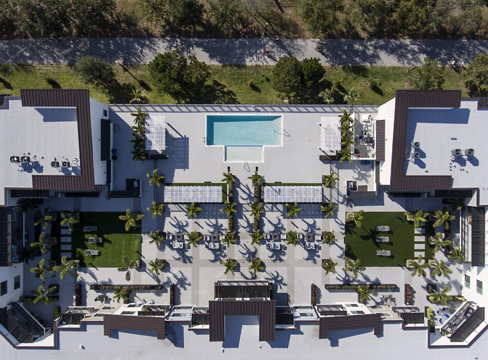 Rooftop with central pool, lounge chairs, palm trees, structures