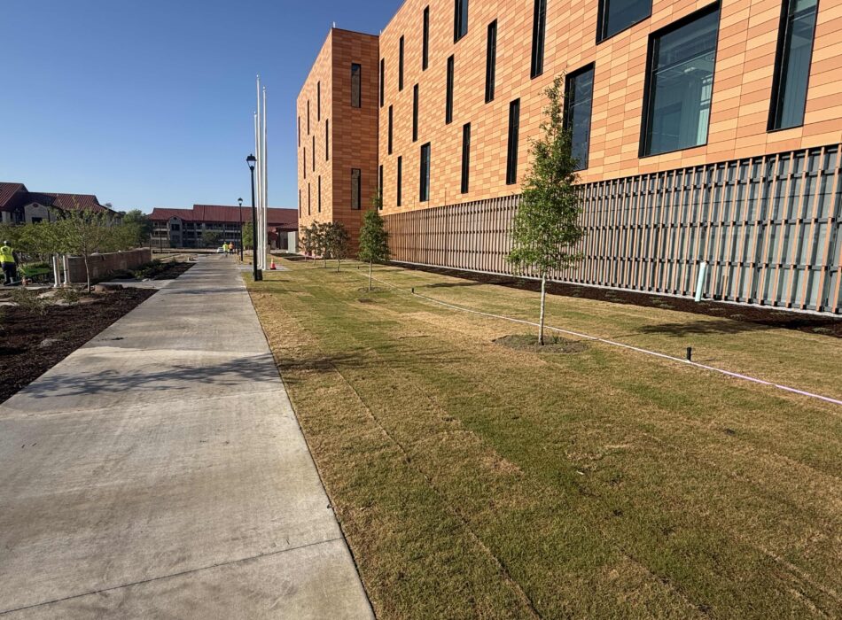 Modern building, orange walls, sidewalk, young trees, blue sky.