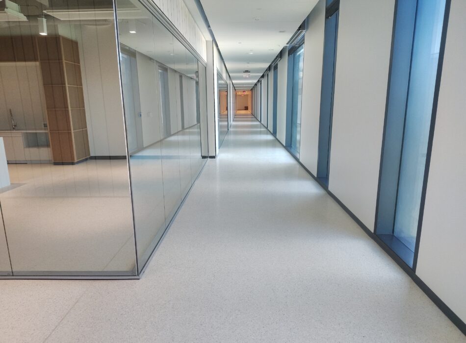 Empty modern hallway with glass rooms and large windows.