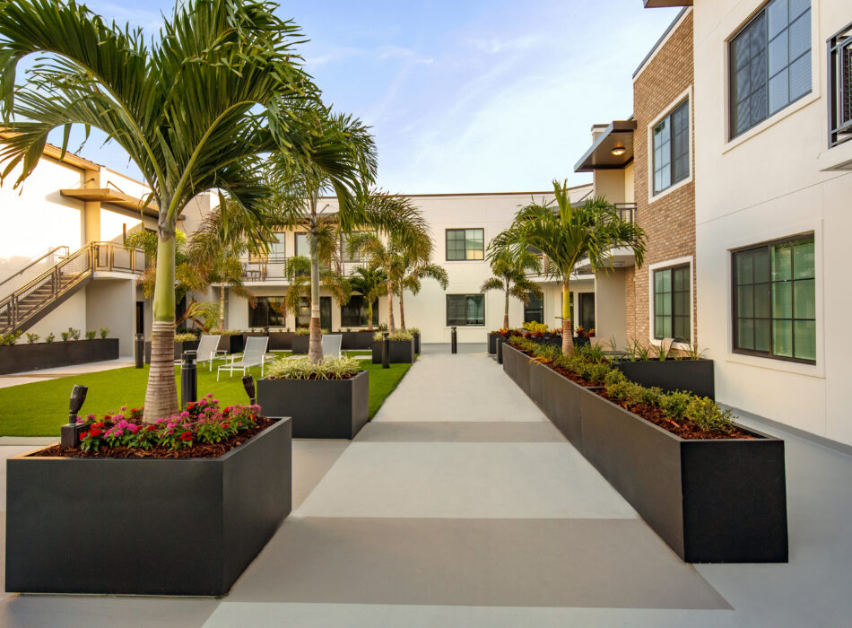 Apartment courtyard with palm trees, plants, chairs, buildings.
