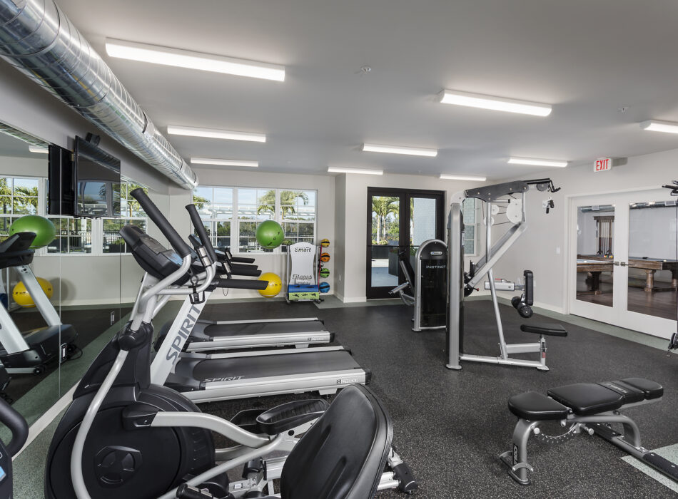Modern gym with equipment, mirrors, windows, and TV.