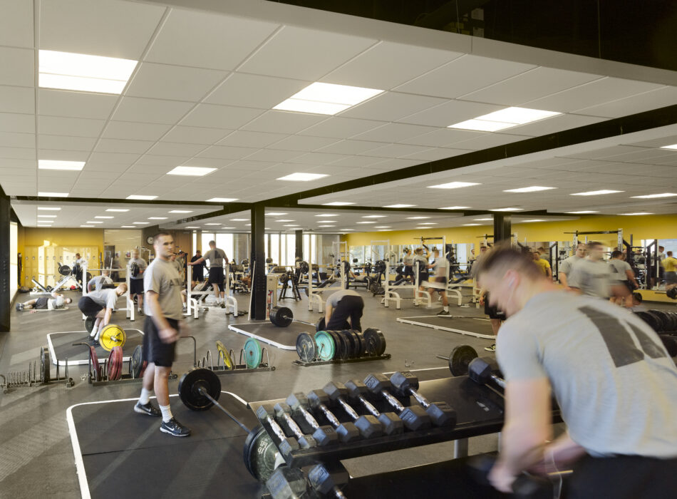People lift weights and use machines in a gym.